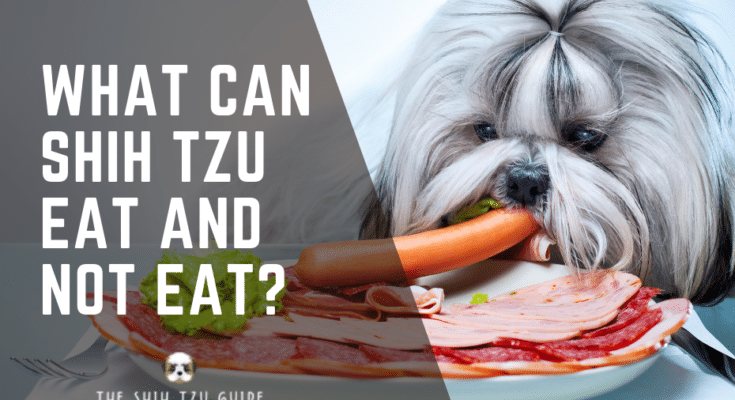 what can shih tzu eat and not eat featured image