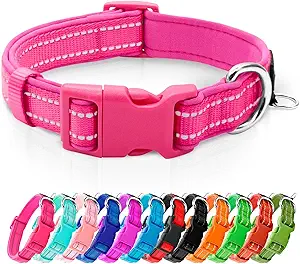 Azuza Reflective Dog Collar – Neoprene Padded with ID Tag Ring