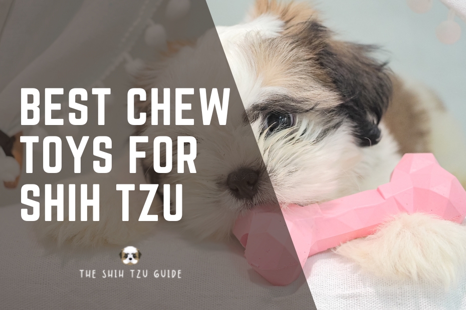 Best Chew Toys for Shih Tzu