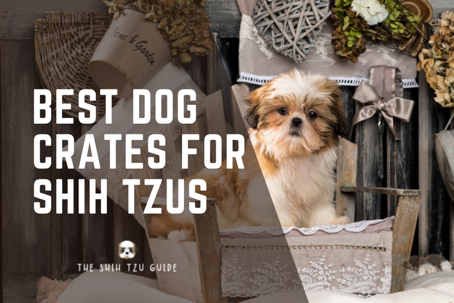 Best Dog Crates for Shih Tzus