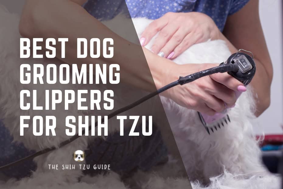 Best Dog Grooming Clippers for Shih Tzu