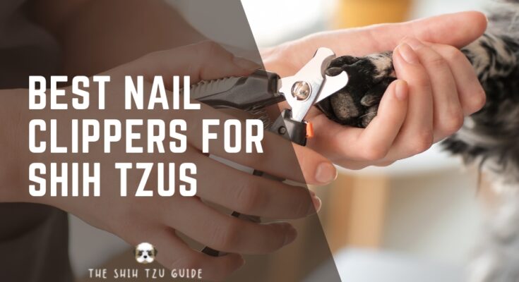 Best Nail Clippers for Shih Tzus fi