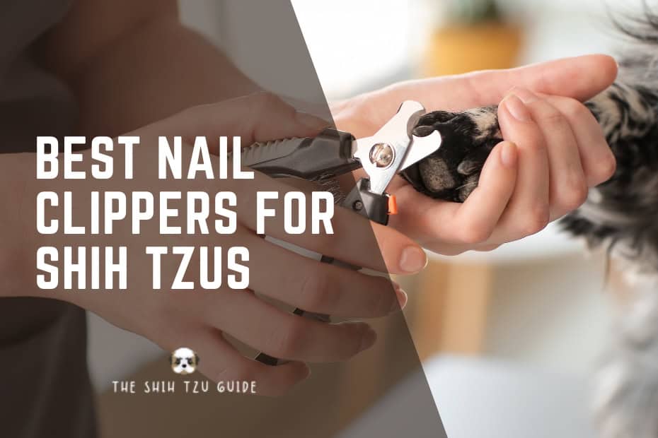 Best Nail Clippers for Shih Tzus fi