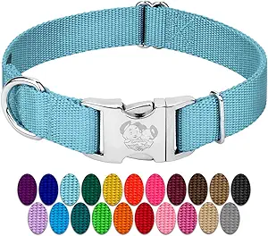 Country Brook Petz Premium Nylon Dog Collar – Metal Buckle and Vibrant Color Options