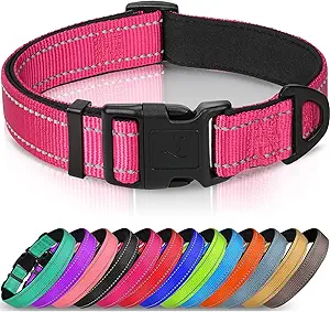 Joytale Reflective Dog Collar – Soft Neoprene Padded, Adjustable Nylon Collar