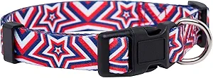 Native Pup American Flag Dog Collar