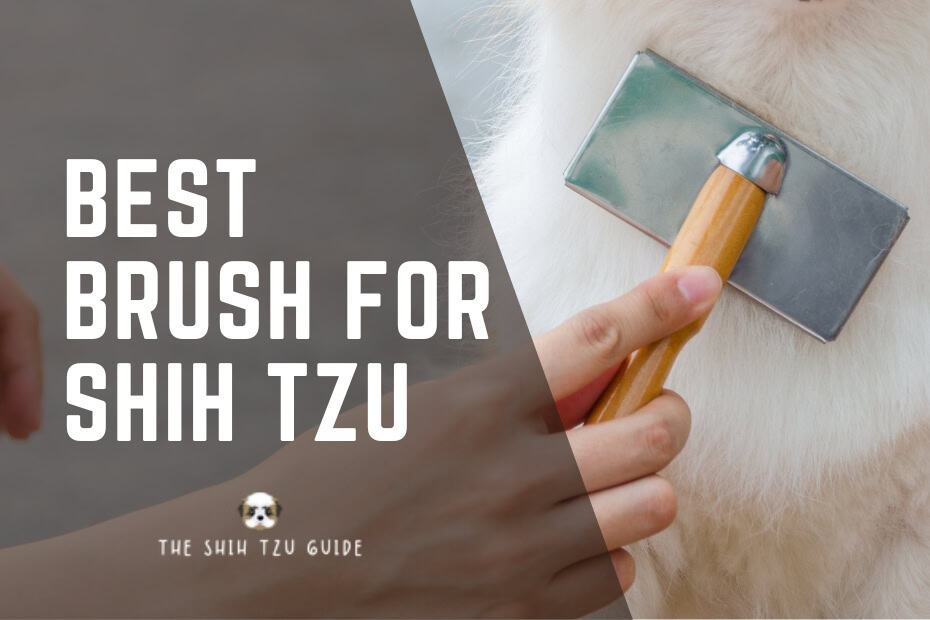 best brush for shih tzu