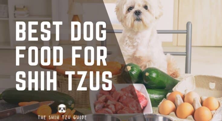 Best Dog Food for Shih Tzus