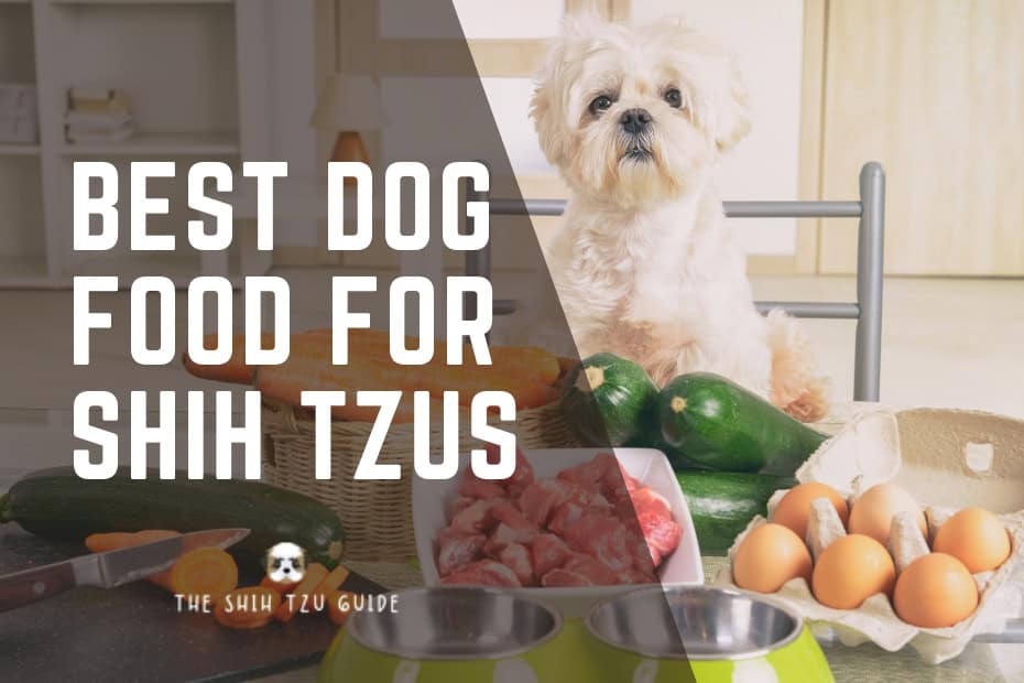 Best Dog Food for Shih Tzus