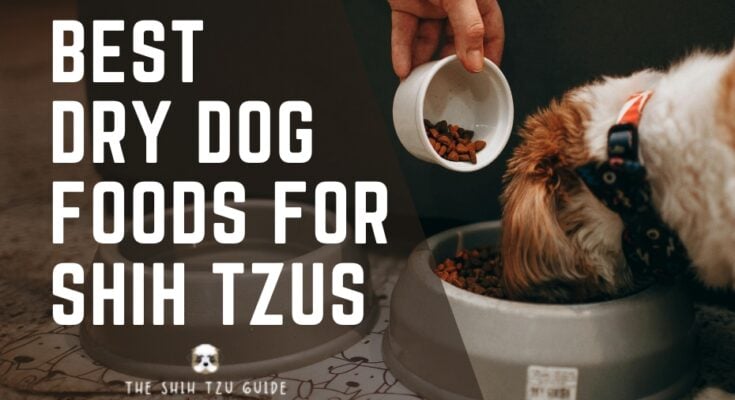 Best Dry Dog Foods for Shih Tzus