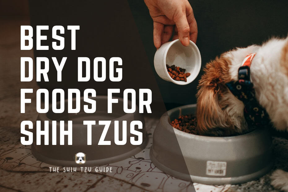 Best Dry Dog Foods for Shih Tzus