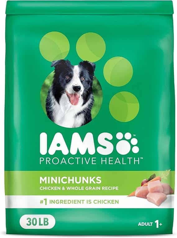 IAMS Proactive Health Minichunks Adult Dry Dog Food