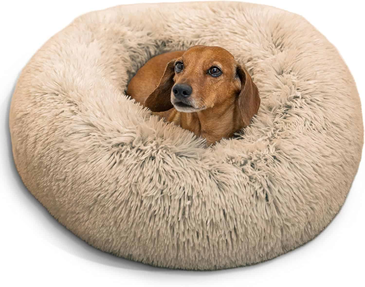 Best Friends by Sheri Original Calming Donut Dog Bed